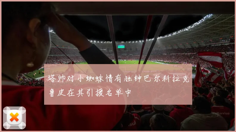 塔帅对小蜘蛛情有独钟巴尔科拉克鲁皮在其引援名单中