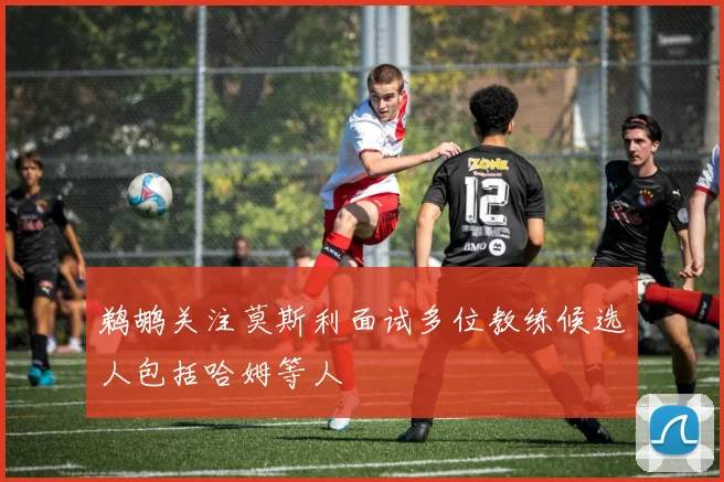 鹈鹕关注莫斯利面试多位教练候选人包括哈姆等人