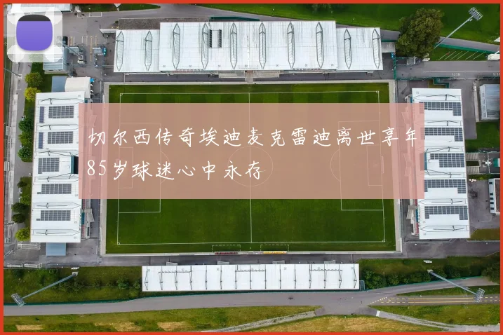 切尔西传奇埃迪麦克雷迪离世享年85岁球迷心中永存